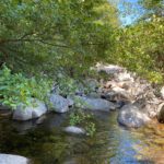 Stage de yoga pleine nature cévennes