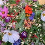 Salade de fleurs arphy cévennes